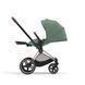 Текстиль для прогулянкового блоку Cybex Priam Leaf Green 523000773 фото 4