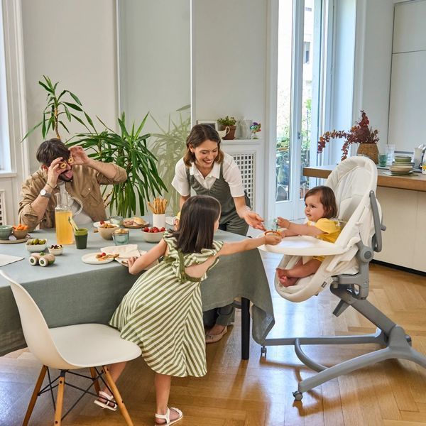 Ліжечко-стільчик 5 в 1 Chicco Baby Hug Pro 87076.14 фото