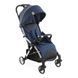 Прогулочная коляска Chicco Goody Plus (79877.51) 79877.51 фото