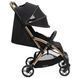 Прогулянкова коляска Chicco Goody Primo 87069.72 фото 3