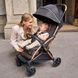Прогулянкова коляска Chicco Goody Primo 87069.72 фото 4