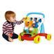 Игрушка-ходунки Chicco Baby Gardener 09793.00 фото 2