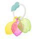 Прорізувач для зубів Chicco Air Fruit Salad 09368.00 фото 1