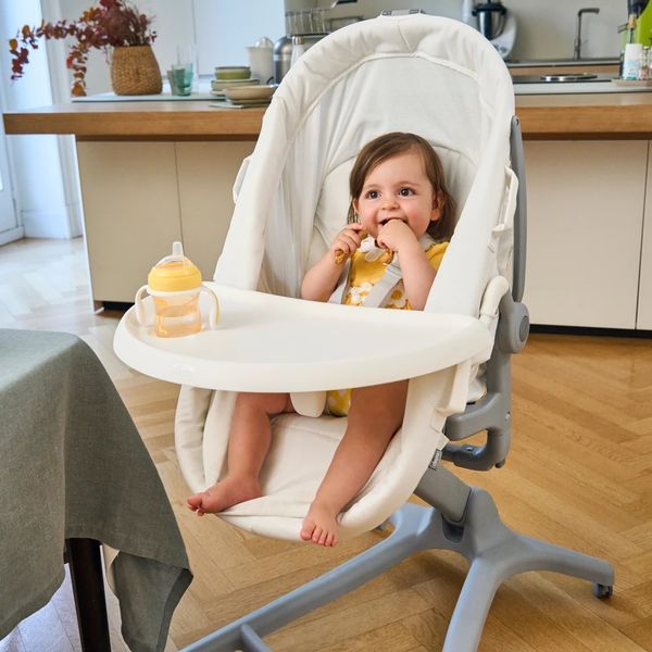 Ліжечко-стільчик 5 в 1 Chicco Baby Hug Pro 87076.40 фото
