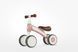 Біговел дитячий Cutey Light Pink B-400-5CuteyLightPink фото