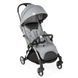 Прогулочная коляска Chicco Goody Plus 79877.19 фото
