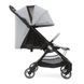 Прогулочная коляска Chicco WE 79885.95 фото 7