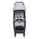 Прогулочная коляска Chicco WE 79885.95 фото 5