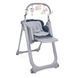 CHICCO СТУЛЬЧИК ДЛЯ КОРМЛЕННЯ POLLY MAGIC RELAX NEW ( 79502.39) 79502.39 фото 1