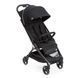 Прогулянкова коляска Chicco WE 79885.95 фото