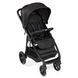 Прогулянкова коляска Chicco Multiride 79628.51 фото 2