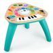 Ігровий центр Baby Einstein Magic Touch 12398 фото