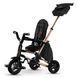 Велосипед дитячий Qplay Nova+ Rubber Складаний Триколісний Gold S700-13Nova+RubberGold фото 6
