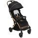 Прогулянкова коляска Chicco Goody Primo 87069.72 фото