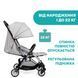 Прогулянкова коляска Chicco Goody Plus 79877.72 фото 4