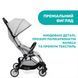 Прогулянкова коляска Chicco Goody Plus 79877.72 фото 3